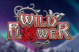 Wild flower