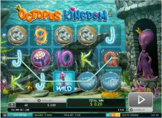 Octopus kingdom