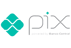 Pix icon