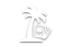 Caribbean s